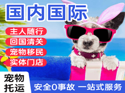阜阳机场邮寄国际宠物托运 【国